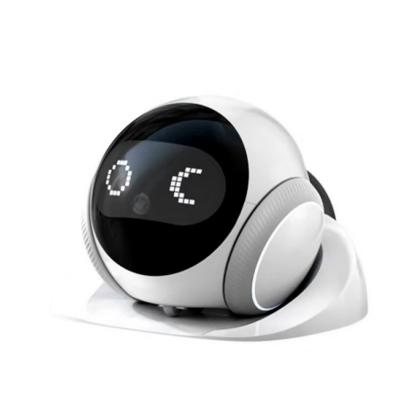 AI Robot Camera Supplier China FW950A